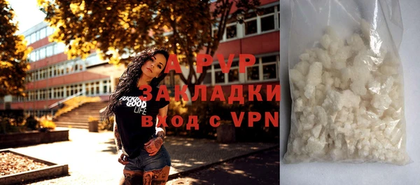 СК Алзамай