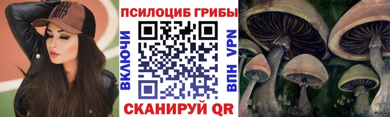 как найти наркотики  Лысково  Псилоцибиновые грибы MAGIC MUSHROOMS 
